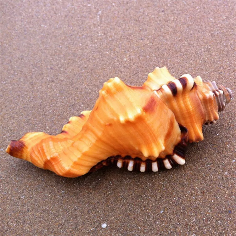 Черная пятнистая ванночка для умывания 9 11 см циматит лоторий раковины