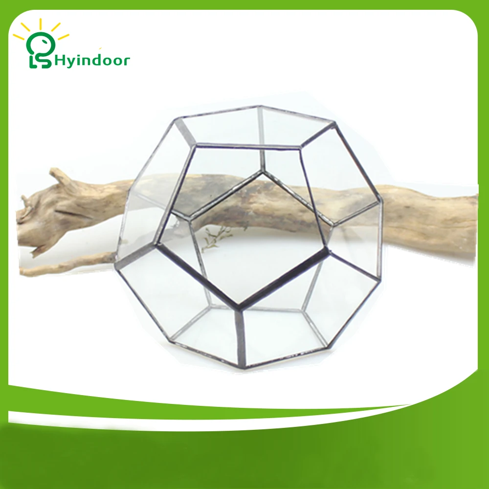 

Garden Supplies Flower Pots Tabletop Dodecahedron Geometric Metal Glass Terrarium Gardening Decorative Flowers Pot