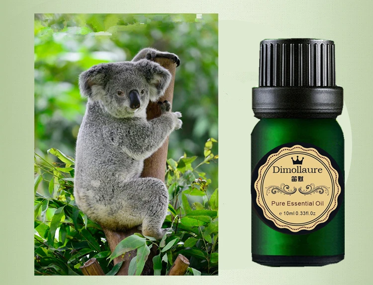 Dimollaure Eucalyptus эфирное масло для очистки воздуха ранка полезная простуды