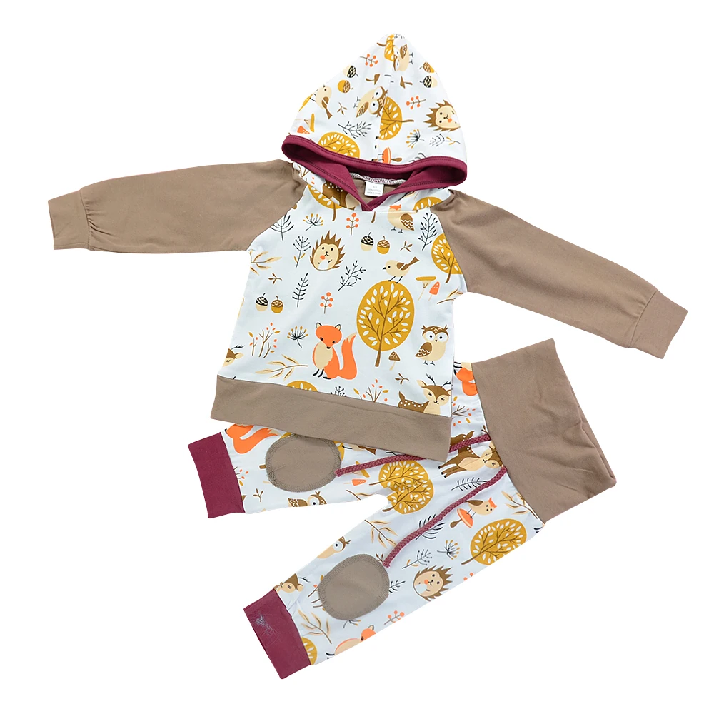 Kleding/топы с капюшоном для новорожденных и малышей + штаны 4 цвета флисовый свитер