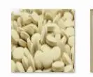 600pcs pollen extrac Ngryise 600 шт набор пыльца сосна - Цвет: 600pcs pollen extrac