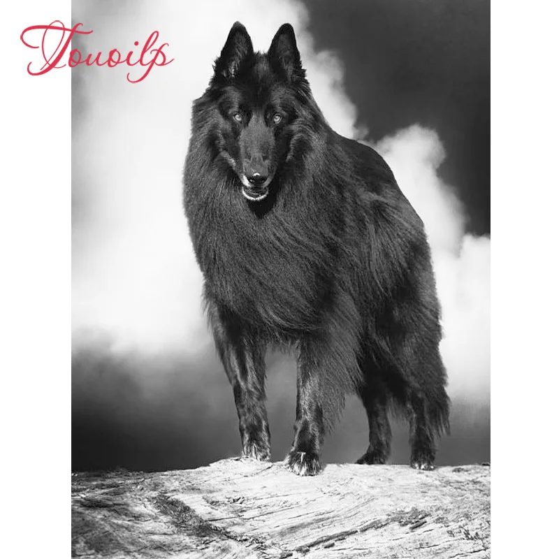 Алмазная 5D Вышивка TOUOILP с полными квадратными/круглыми стразами картина немецкий