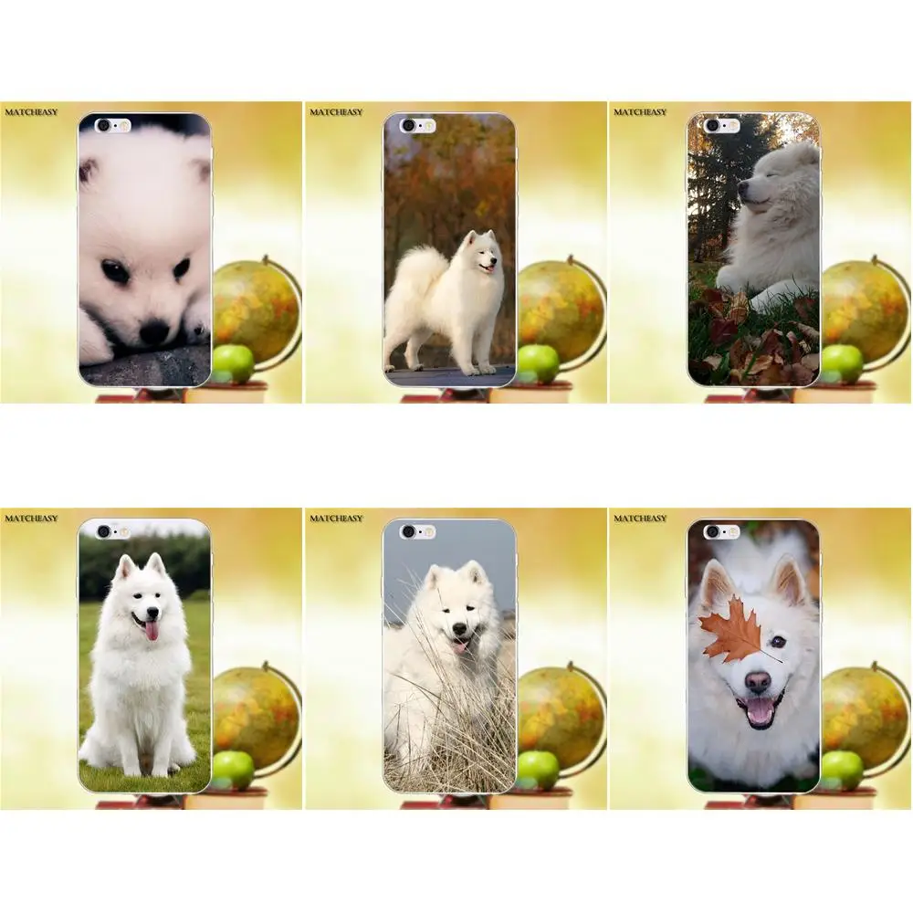 Милые белые Samoyed стиль для Apple iPhone X XS Max XR 4 4S 5 5C SE 6 6S 7 8 Plus Мягкие ТПУ защитные