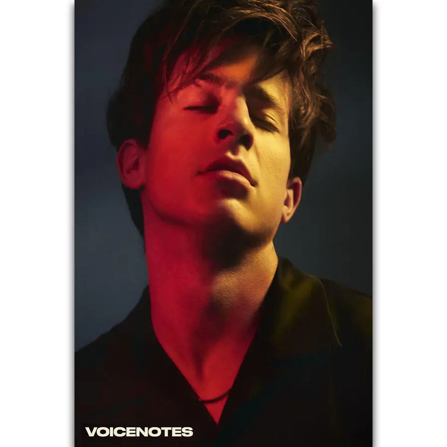 Альбом S324 Обложка Чарли пут войценот поп музыка певец настенная живопись печать