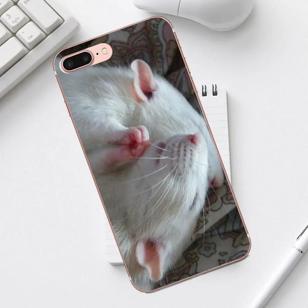 Qdoupz граффити крыса носить очки Ist Banksy для iPhone 4 4S 5 5C SE 6 6S 7 8 Plus X XS Max XR Galaxy A3 A5 J1 J3 J5 J7 - Цвет: as picture