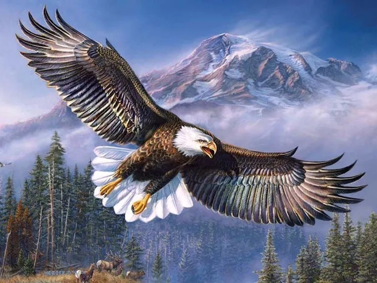 

5D Diy Daimond Diamond Full Rhinestones Painting Embroidery Square/round "Flying Eagle" Handcraft
