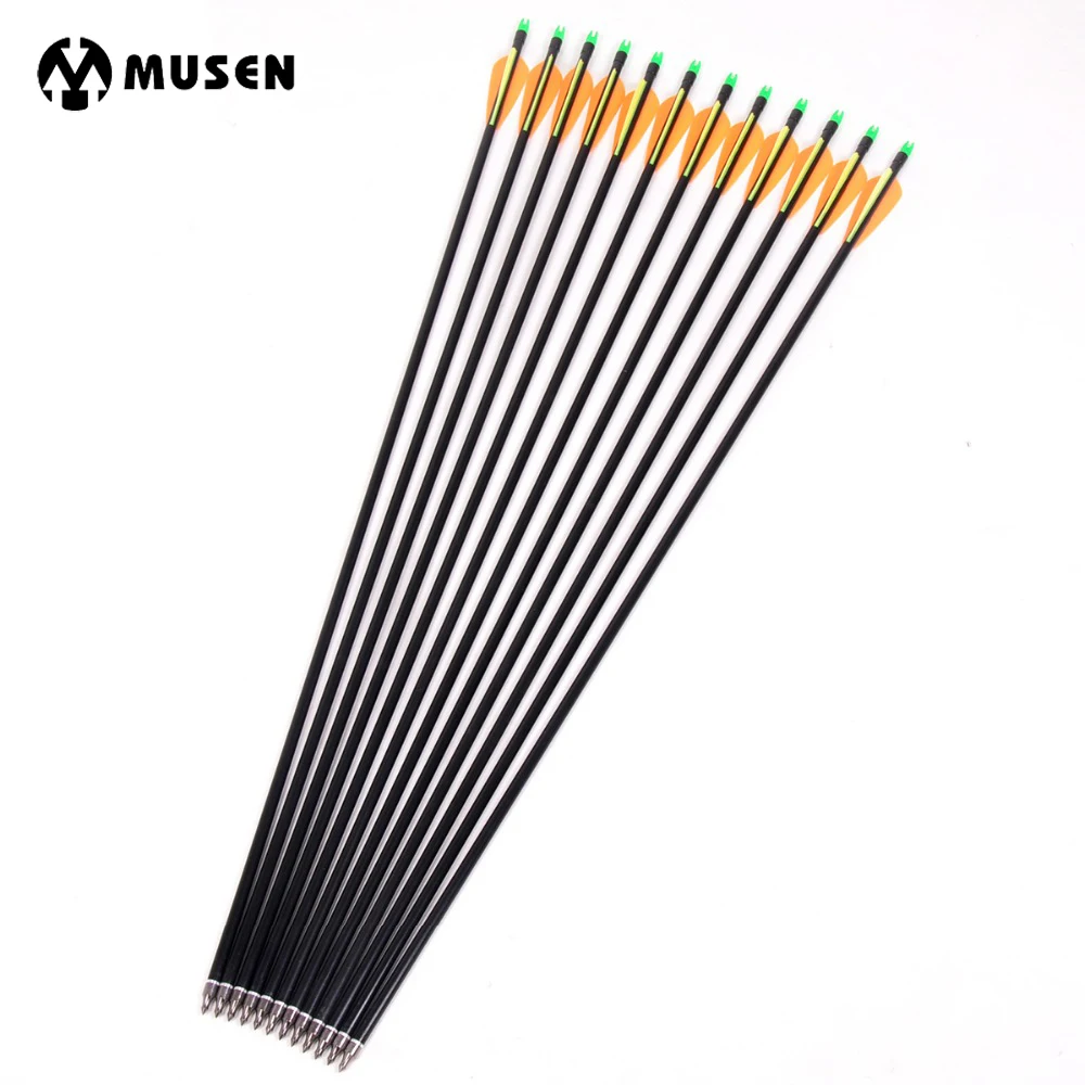 

Spine 500 Archery Fiberglass Arrow 30" Length with Replaceable Arrowheads for 30-60lbs Compound Recurve Bow Shooting