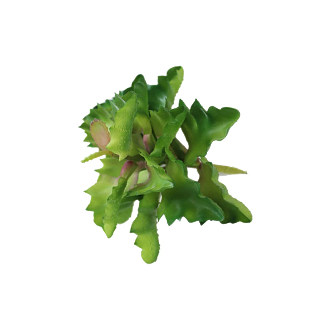 Реалистичный Sedum искусственный суккулент букет фруктов большой лист декор из