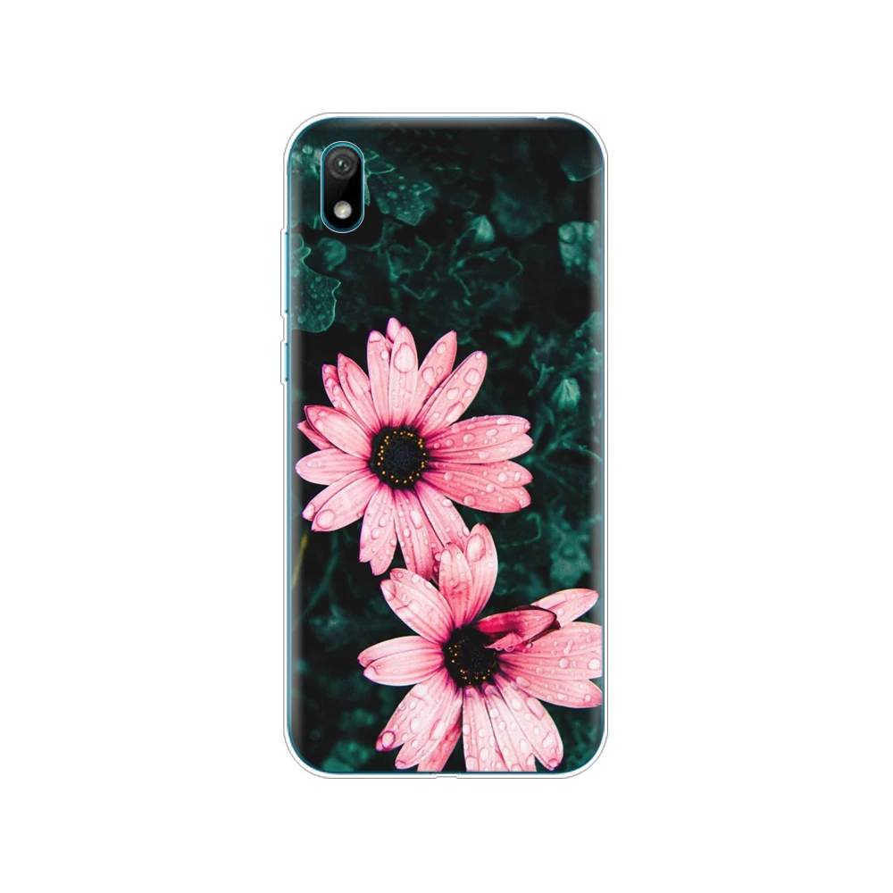 Для huawei y5 силиконовый чехол ТПУ задняя крышка мягкий чехол для телефона для huawei Y5 coque бампер 5,71 дюймов защитный рисунок - Цвет: 61733