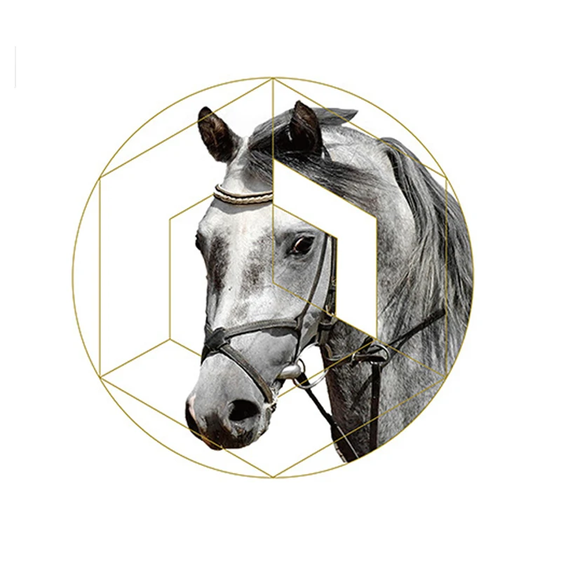 

5D DIY Full Drill Round Diamond Painting Horse Pattern Diamond Embroidery Needlework Cross Stitch Wall Stickers