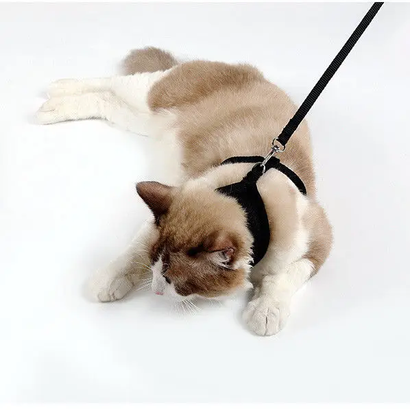 Очаровательная Мягкая сетчатая жилетка для собак и кошек с подходящим поводком