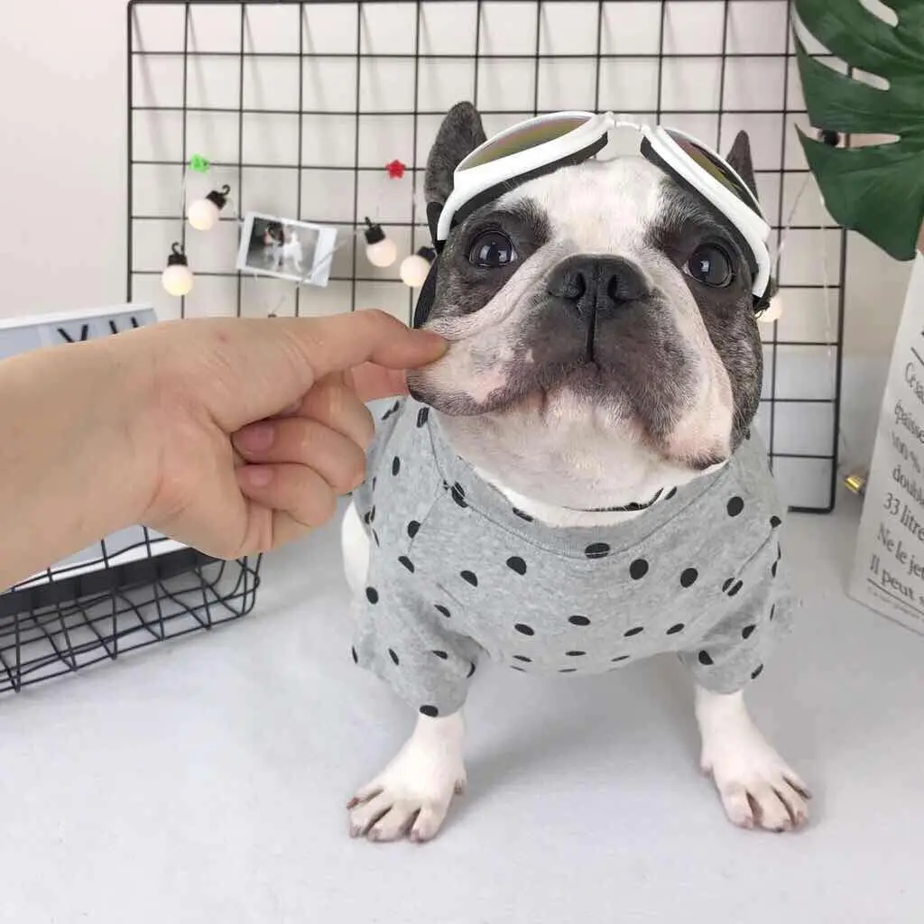 2018 популярная Весенняя летняя одежда для собак мягкая дышащая хлопковая в