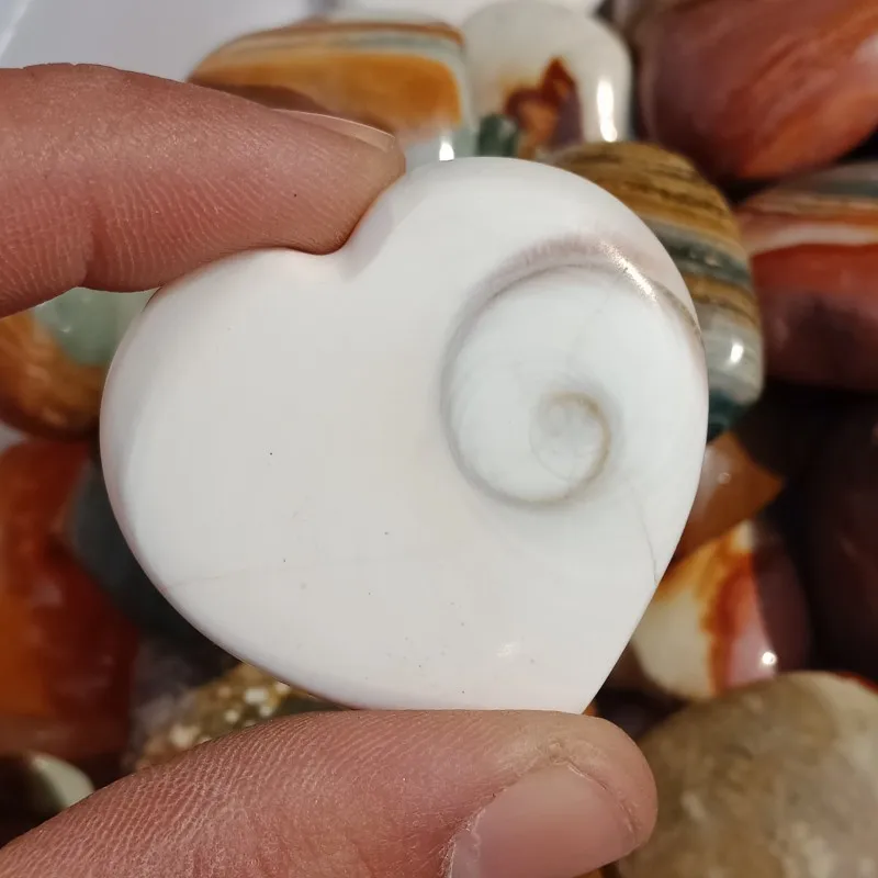 DHXYZB 2pcs Natural Sun Shell stone Fossil crystal Love heart shape Massage Quartz stones and mineral Reiki Healing gift | Дом и сад