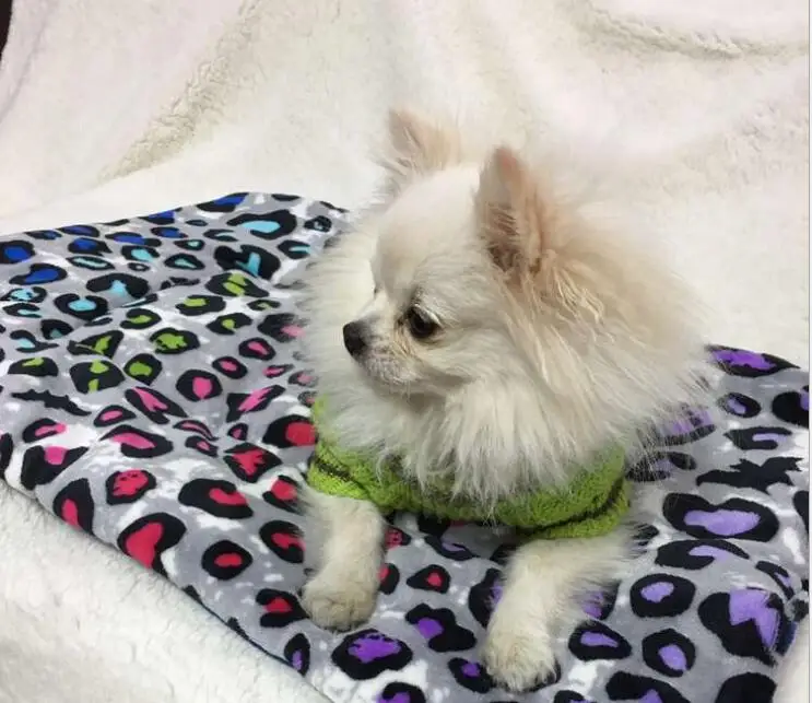 Коврик для домашних животных бархат ягненка коралловый флис утолщенный ягненок