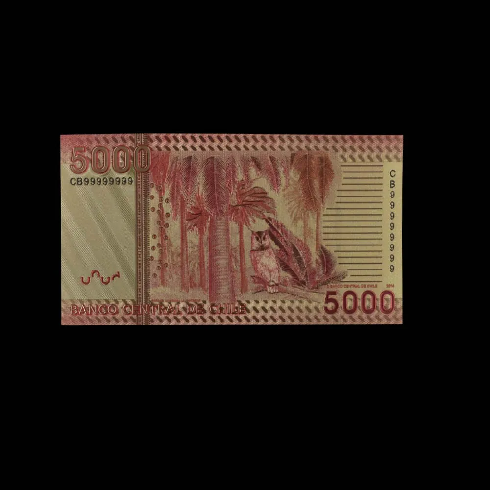 10pcs/lot New Products 2019 Chile 5000 Peso Gold Banknote Colorful World for Souvenirs Golden Bank Notes | Дом и сад