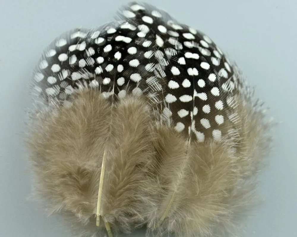 Оптовая продажа 10 шт. красивые натуральные перья фазана 2-4 дюйма/4-10 см