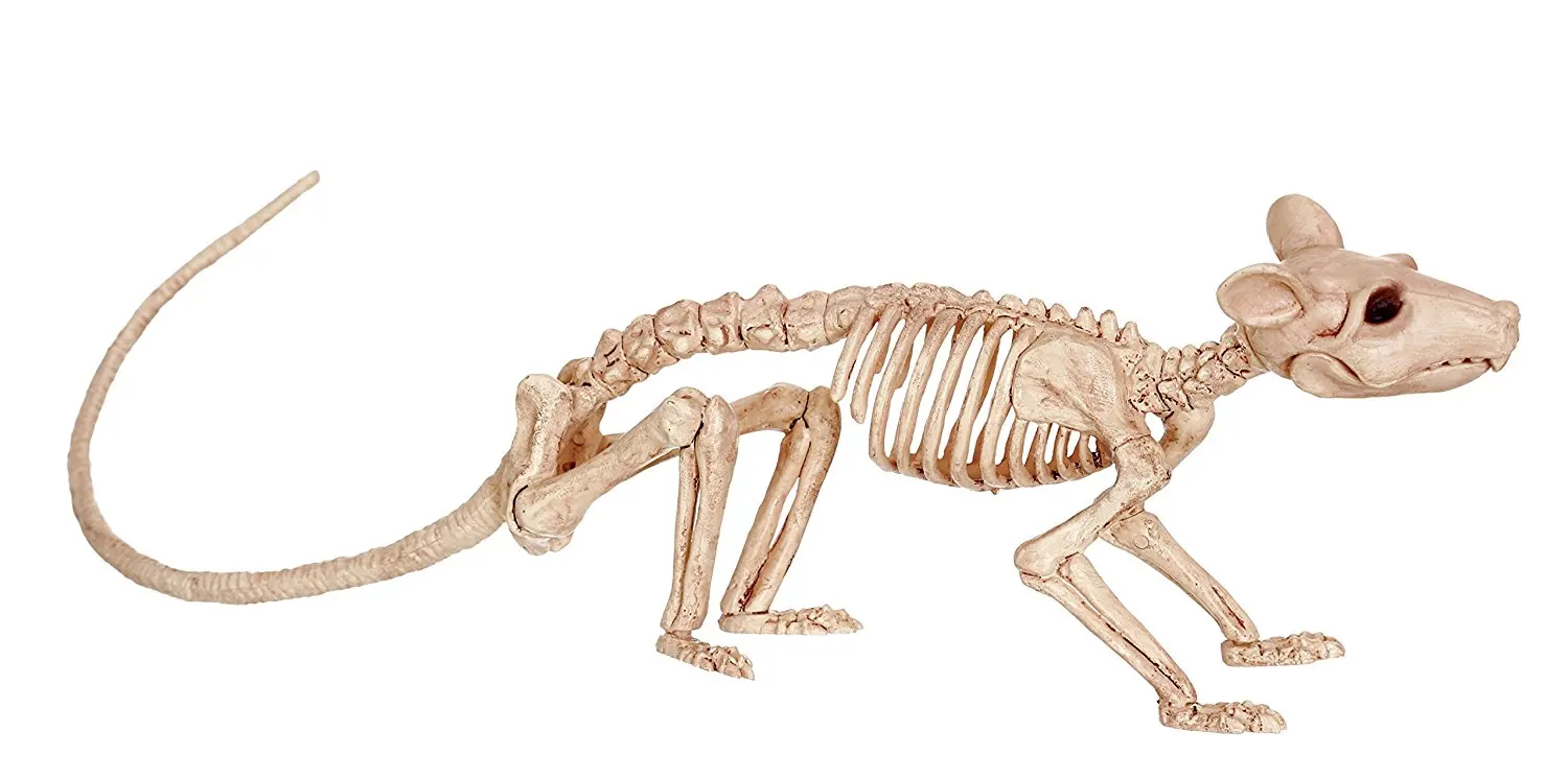 

Fantasy Bone Skeleton - Rat Bone Home Halloween Party Decoration