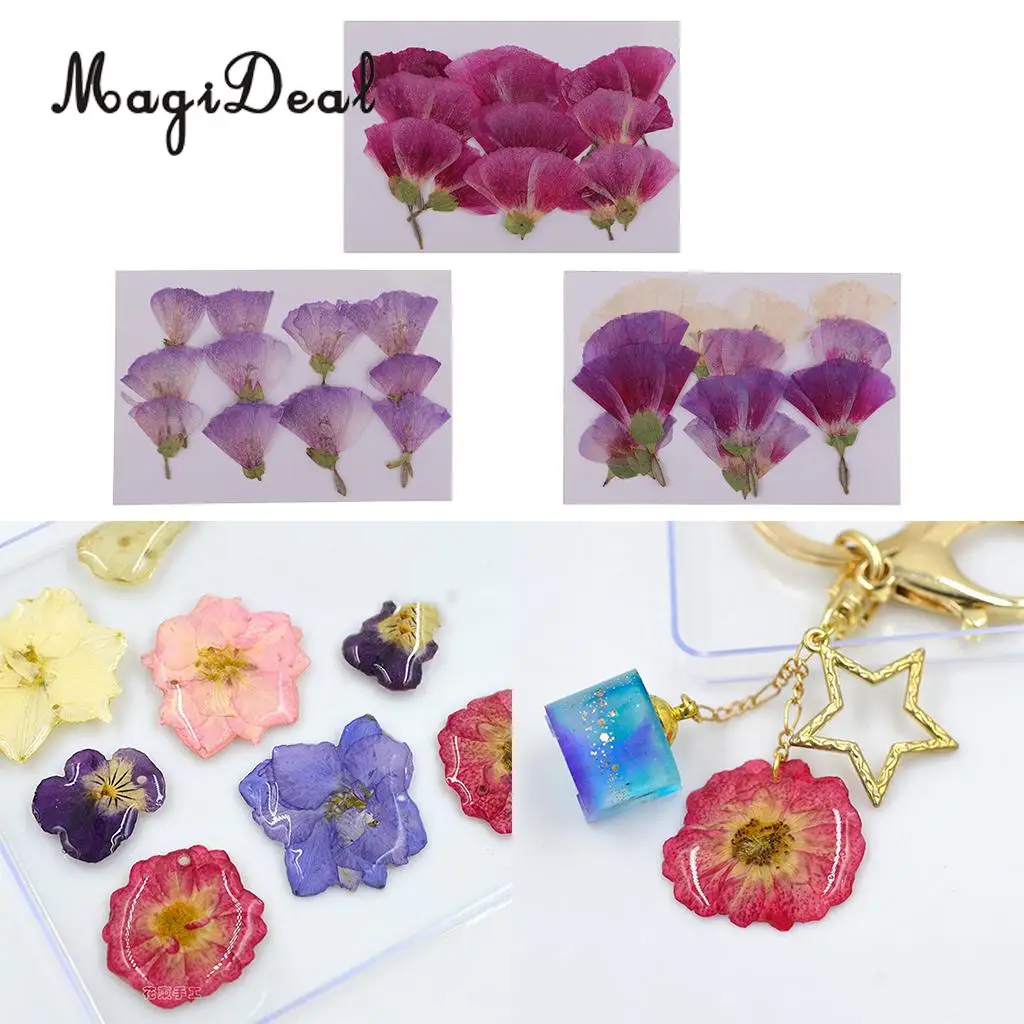 12 шт. Красивые Натуральные сушеные цветы для художественного творчества