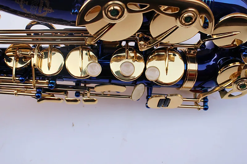 

ZK-300 E-flat alto saxophone / tube / instruments blue body gold key metal luggage