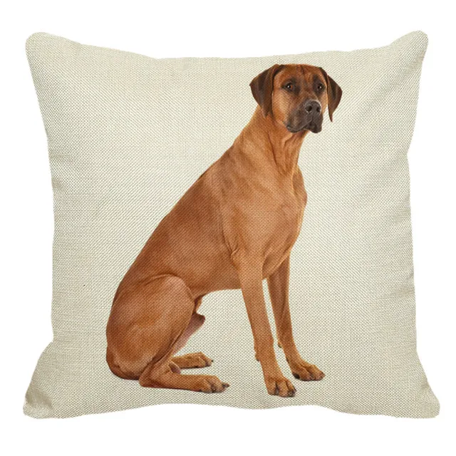 XUNYU Rhodesian Ridgeback наволочки с изображением собак для домашнего дивана квадратная наволочка для подушки с животным узором декоративная наволочка для подушки 45X45 см AC018 - Цвет: 19