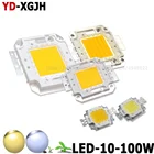 Светодиодный COB Чип SMD высокой мощности, уличное освещение для пищевых продуктов сделай сам с теплым белымчистым белым светом, 10 Вт, 20 Вт, 30 Вт, 50 Вт, 100 Вт, 100 Вт