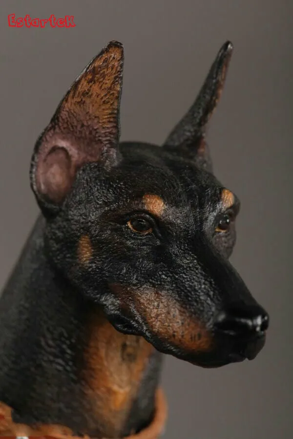 [ESTARTEK] 3R AS001B/ AS001R Doberman Pinscher 1/6 модель в виде животного Scen аксессуары для