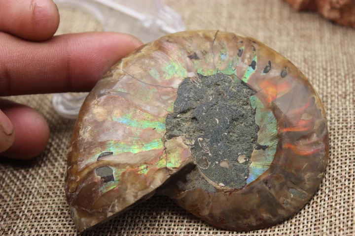 Пары раздельных фотографий исцеление Мадагаскара A9|pair| |