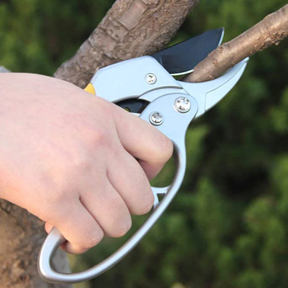 

Garden Tools
