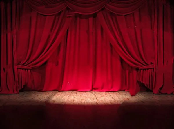 Theater Stage Red Curtain Circus Photography Backgrounds Vinyl cloth High quality Computer printed party photo backdrop | Электроника