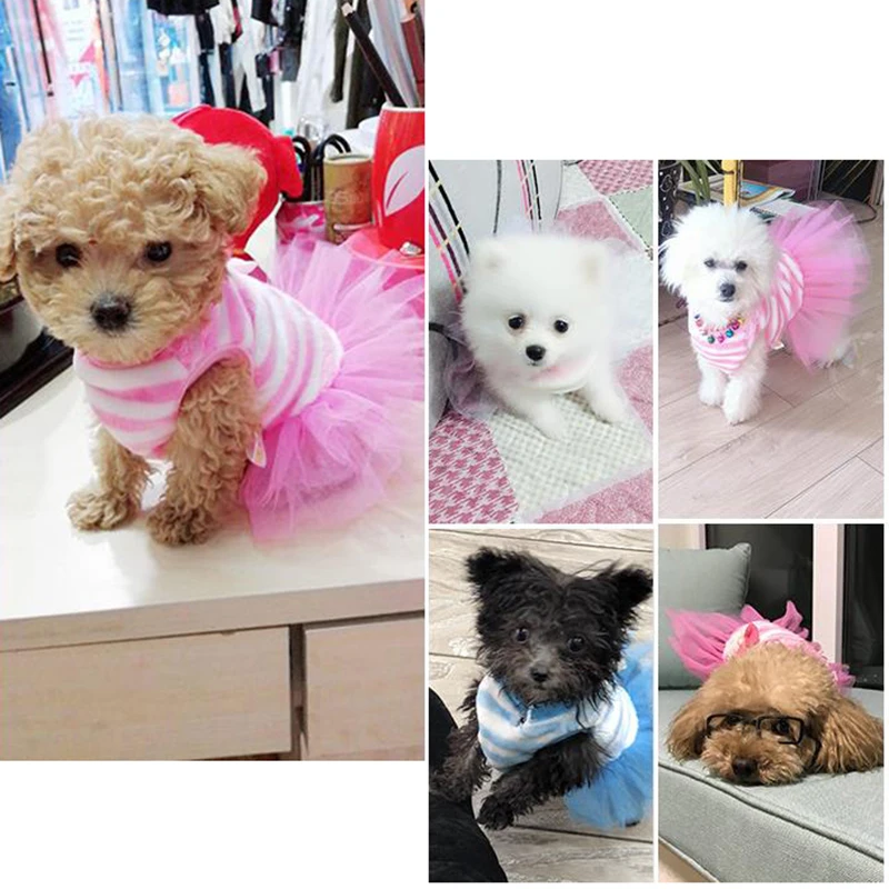 Hoomall Теплые Свадебные платья Одежда для собак платье принцессы в полоску