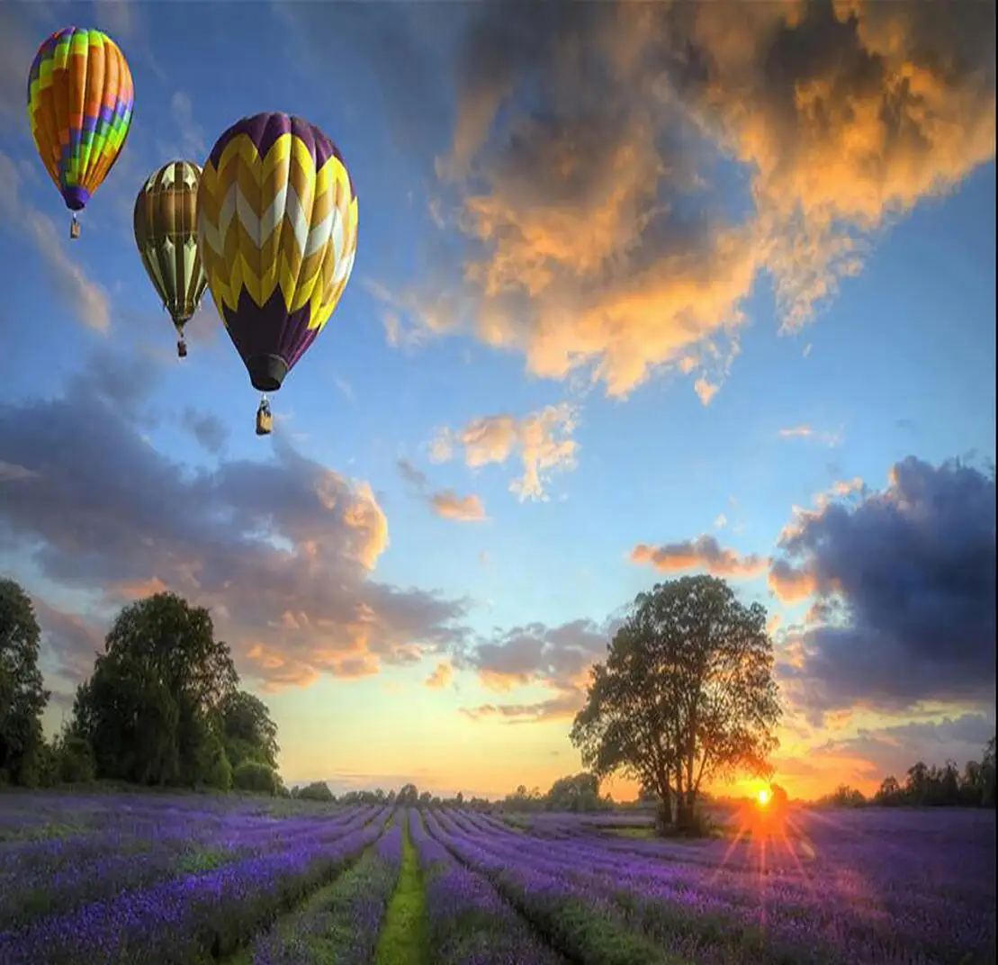 Огненный воздушный шар Фиолетовый Лаванда цветок фото настенная бумага фрески