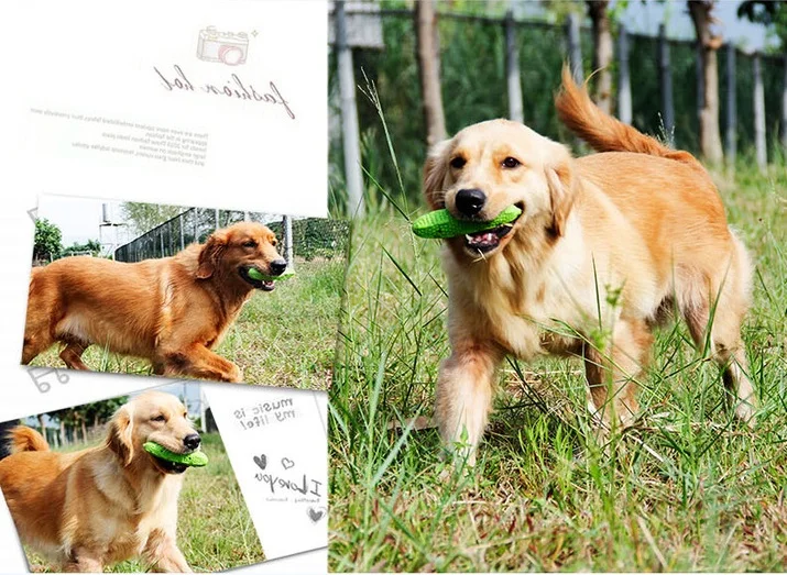 Лучшее качество экологический материал собака игрушки для щенка домашних