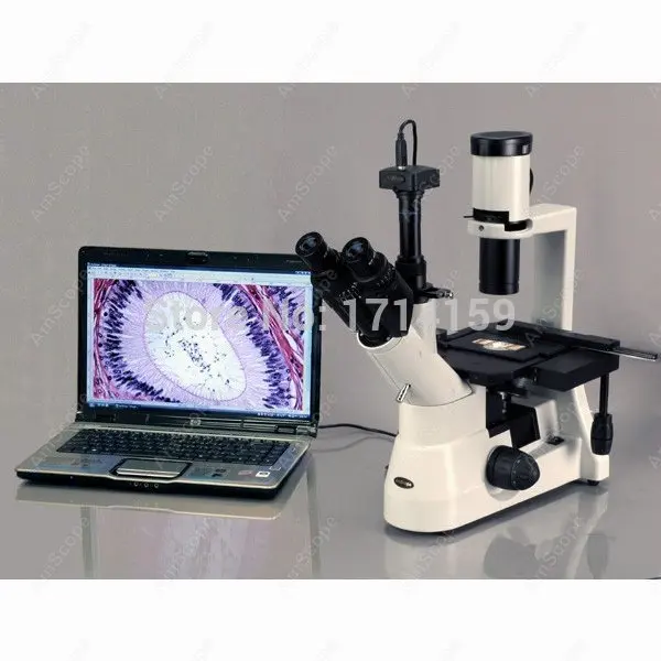 Перевернутый Микроскоп-AmScope поставки 40x-800x дальний план оптический биологический