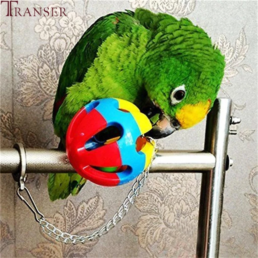 Игрушки для птиц Transer 5 шт./лот деревянный мост бисероплетения цветные