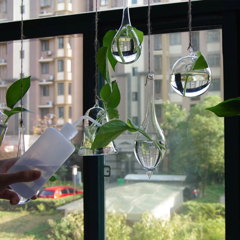 1 шт. творческий висит прозрачный стеклянный цветок гидропоники минималистский