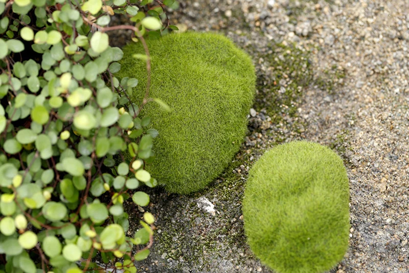 Искусственный Зеленый мох 3 шт. искусственный микроландшафтный камень