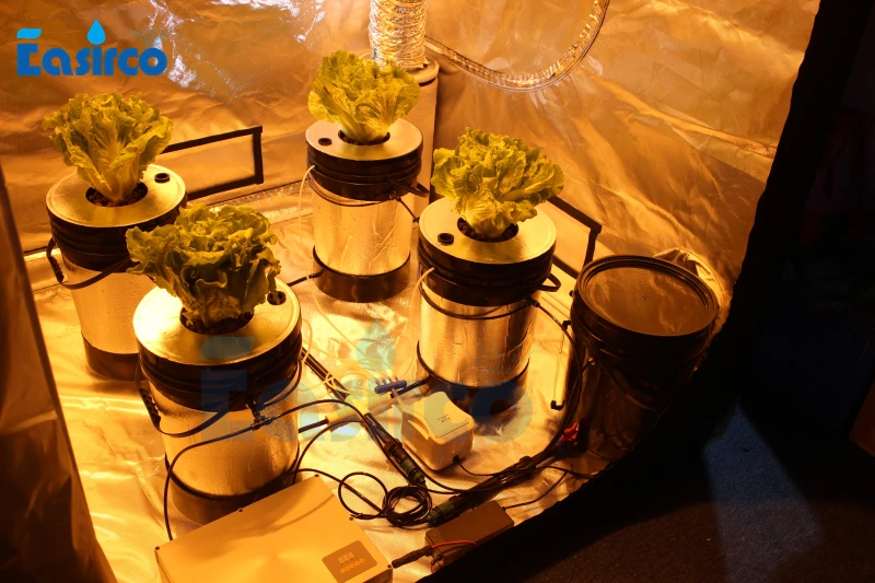 Aeroponics system 5x5 галлонный Круглый Ковш. Подвижное ведро клона