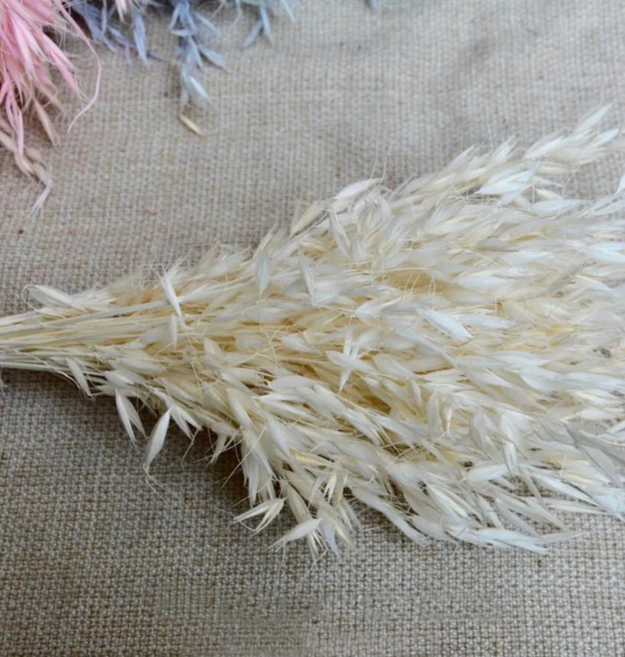 Букет высушенных аванты посевного L. Цветок для рукоделия Подарочный материал