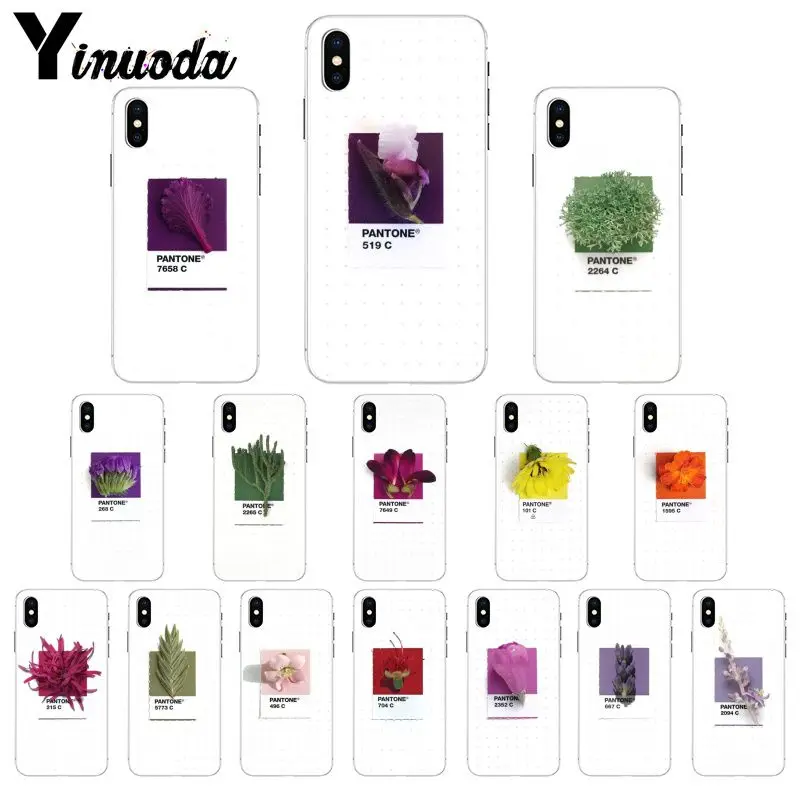 11pro MAX Pantone яркие цвета цветок Новое поступление Прозрачный чехол для мобильного