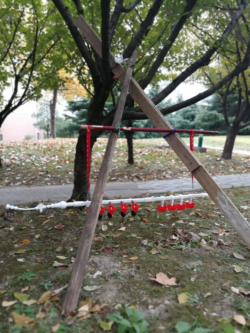 1 комплект автоматическая система подачи соска птицы поилка курица птица