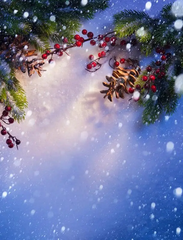 VinylBDS Christmas Backdrops White Snow Red Berries Newborn Background Cedar Snowflake Scenery Photography Backdrop for Studio |