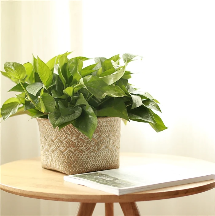 WHISM Seagrass ротанговый ящик для хранения корзин плетеное кашпо для цветов ручной работы соломенный макияж Органайзер из ткани для сада ящик Настольный ящик для хранения