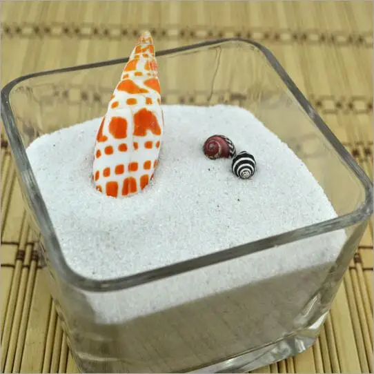 Горячая Распродажа белый натуральный морской песок аквариумный декор мох микро