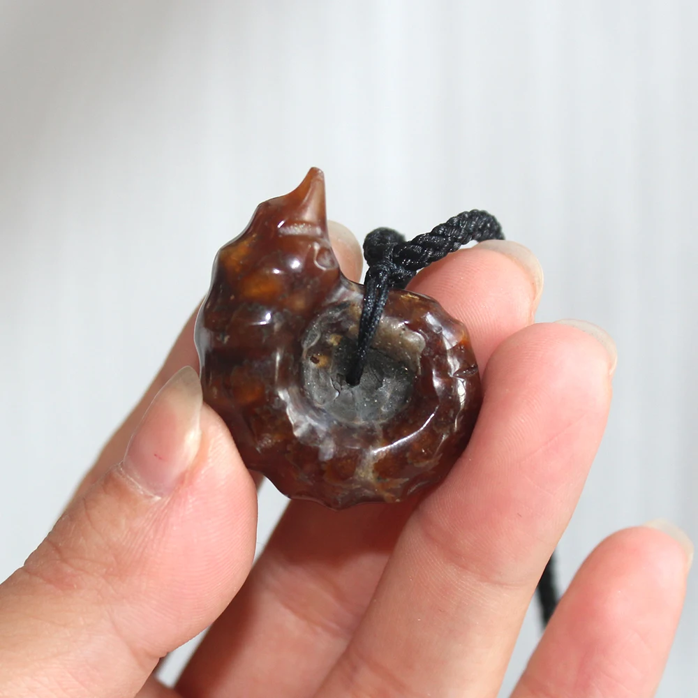 1 шт. натуральный камень Fossil овечий Рог кулон Улитка Мадагаскар пятнистый раковины полированные минералы образец ожерелье украшения