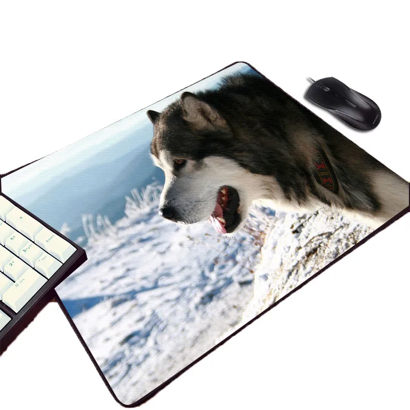 Mairuige креативный фото-узор изображения напечатанные Diy резиновый Pc Comuter игровой коврик для мыши животные для домашних любимцев собак кошек Настольный коврик для мыши Коврик для мыши
