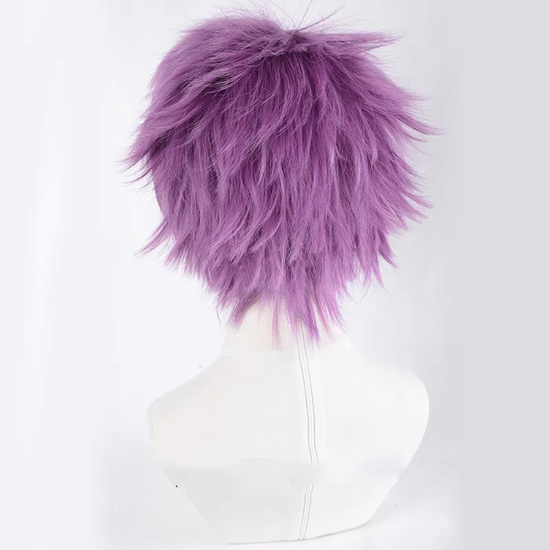 Sir Lancelot Du Lac Purple Cosplay Fate/Grand Order Knights of the Round Table Hair Halloween |