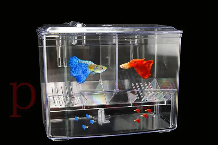 Новые 2 комнаты Betta рыбоводство коробки двойные Гуппи инкубационная изоляция инкубатора Акриловые Мини аквариумные танки прочный
