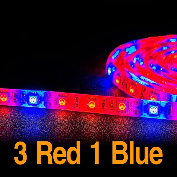 3Red 1Blue 5M Светодиодный 5 м растут светильник полосы S5050 3/4/5 Красный 1 синий полный спектр IP65 Фито лампа DC12V фитолампа для парниковых гидропоники растения лампы для роста растений - Испускаемый цвет: 3Red 1Blue 5M