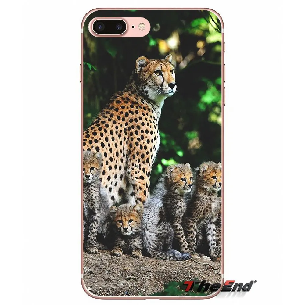 Мягкий чехол для iPhone X 4 4S 5 5S 5C SE 6 6S 7 8 Plus Samsung Galaxy J1 J3 J5 J7 A3 A5 2016 2017 Baby Cheetah Full Speed Sunset|case