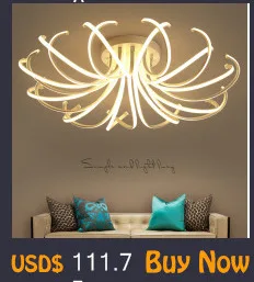 Современный LED блеск Luminarias Para Sala светодиодные лампы для дома проход, коридор, балкон кухня вход светильники